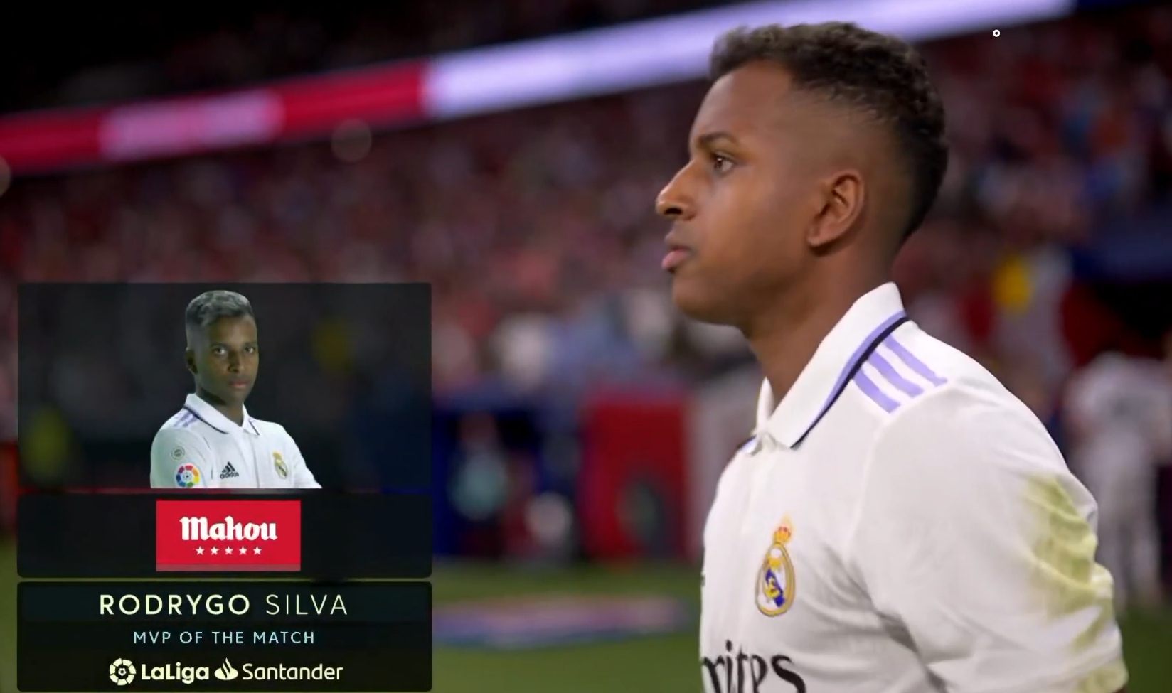 希望的种子 希望的种子