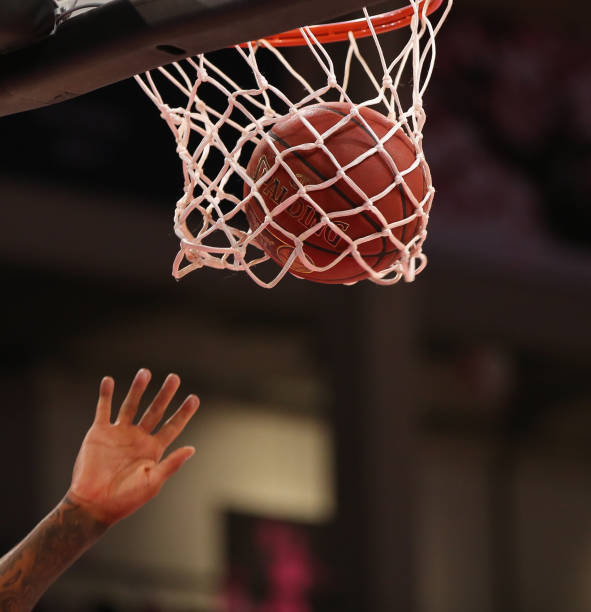 由于沙特队 由于沙特队